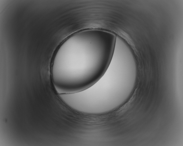 X0000089881226200706281043