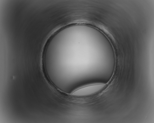 X0000089881229200706281043