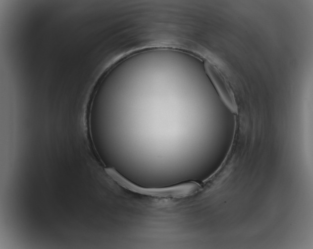 X0000089881230200706281043