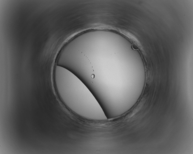 X0000089881231200706281043