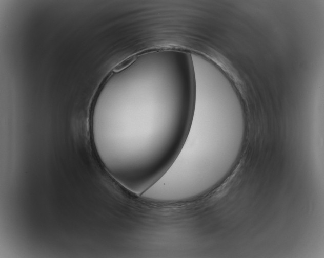 X0000089881234200706281043