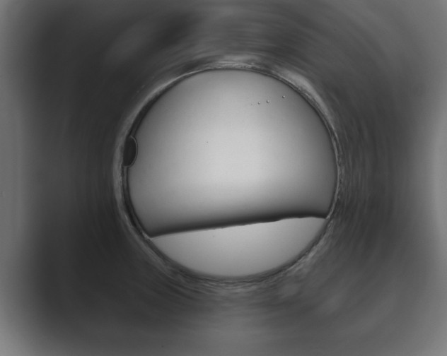 X0000089881235200706281043