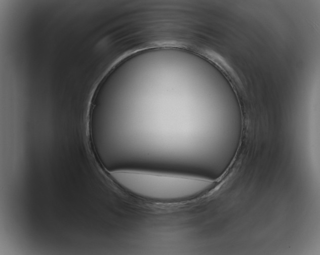 X0000089881236200706281043