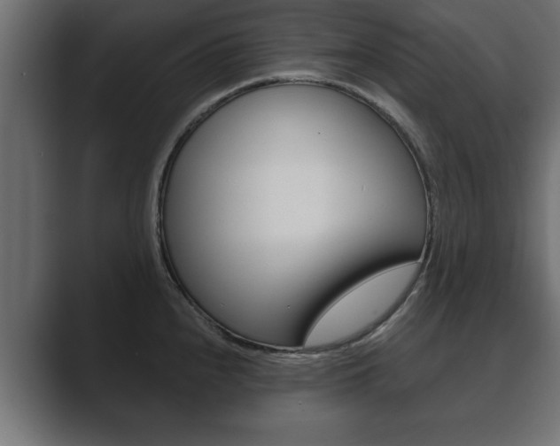 X0000089881240200706281043
