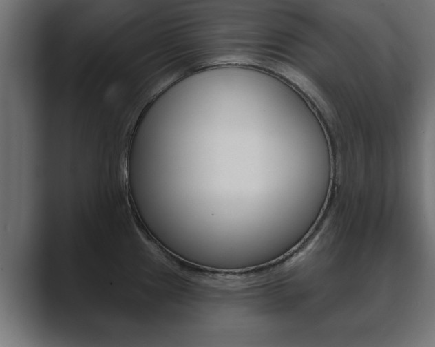 X0000089881241200706281043