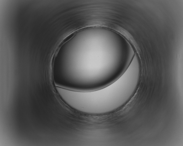 X0000089881242200706281043