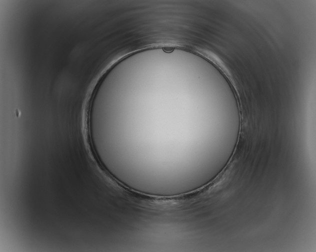 X0000089881243200706281044