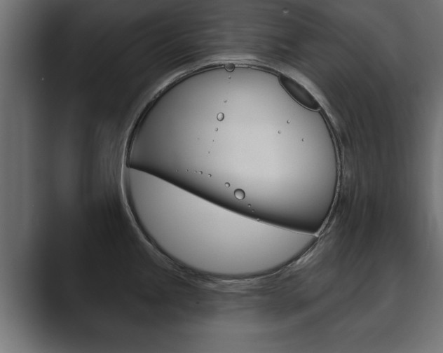 X0000089881245200706281044