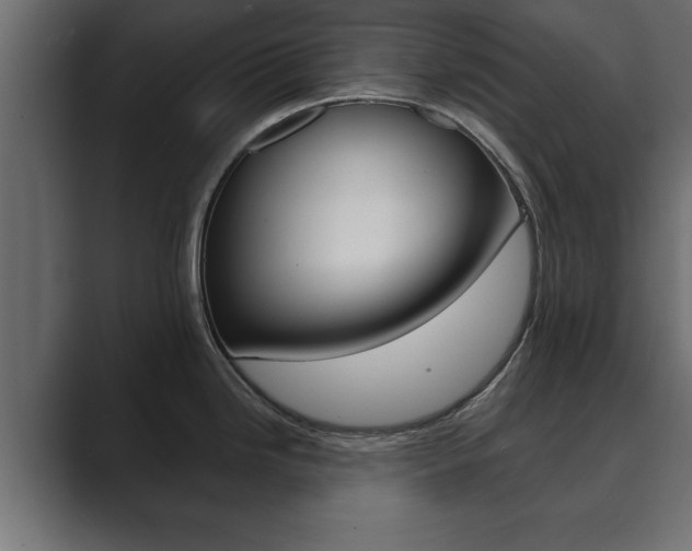 X0000089881246200706281044