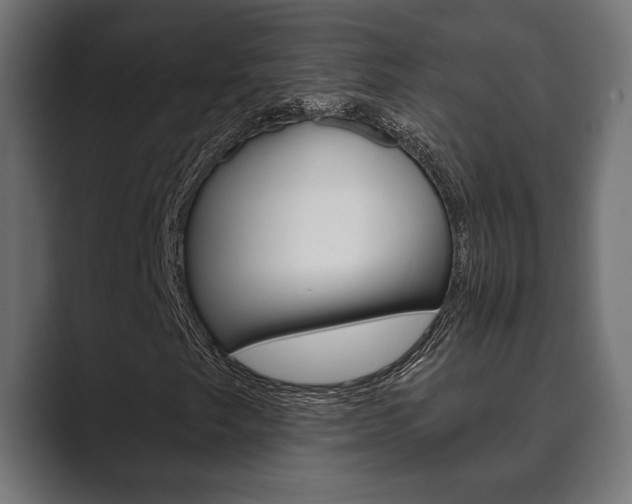 X0000089881249200706281043