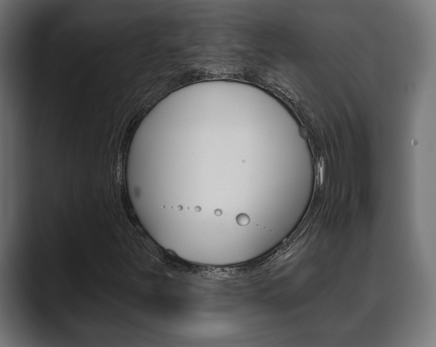 X0000089881251200706281043