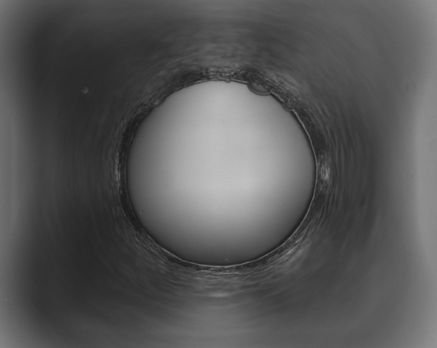 X0000089881252200706281043