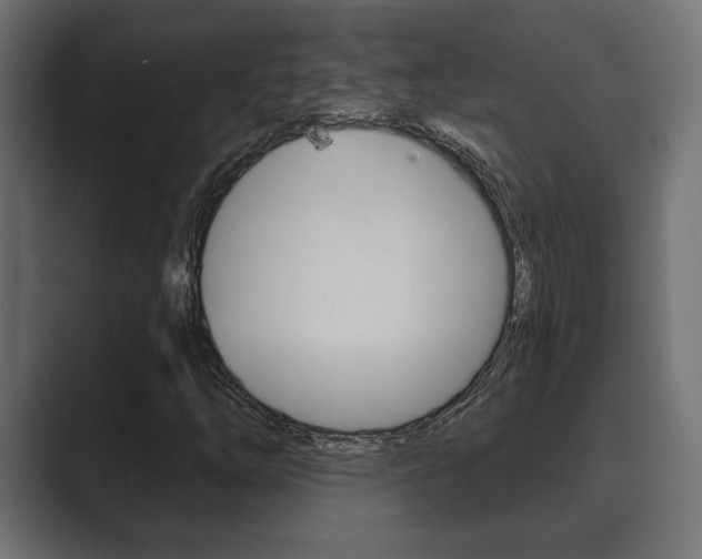 X0000089881254200706281043
