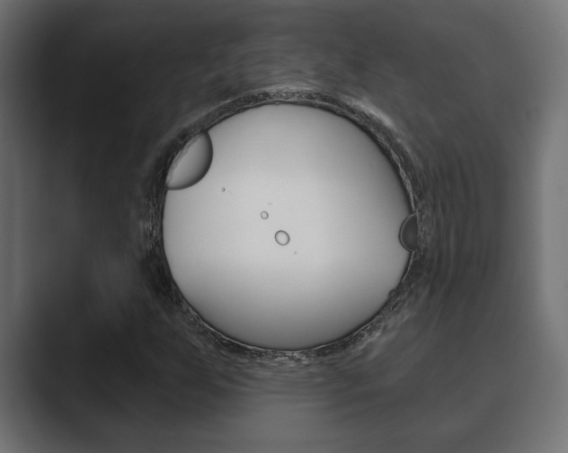 X0000089881255200706281043