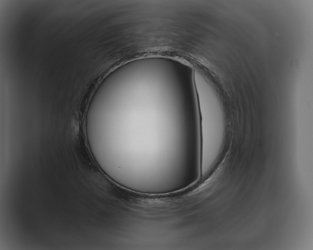 X0000089881257200706281043