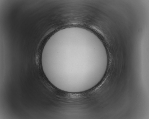 X0000089881258200706281043