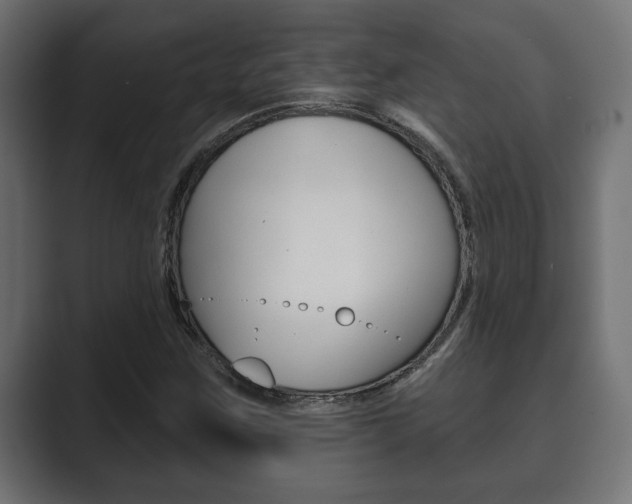 X0000089881259200706281043