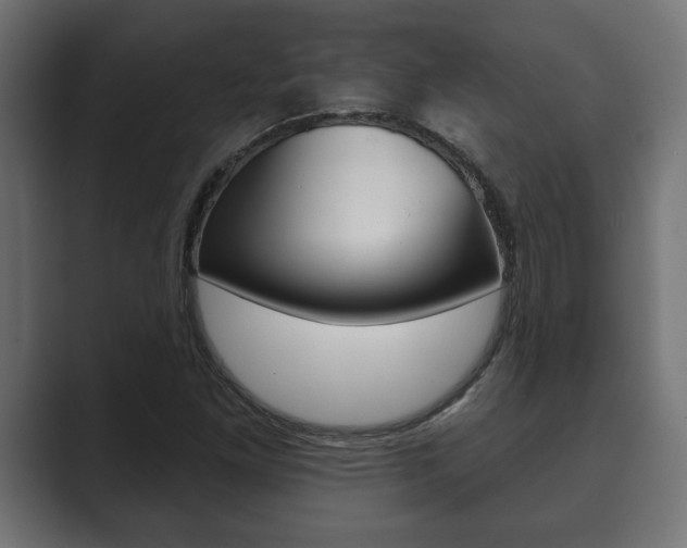 X0000089881261200706281043