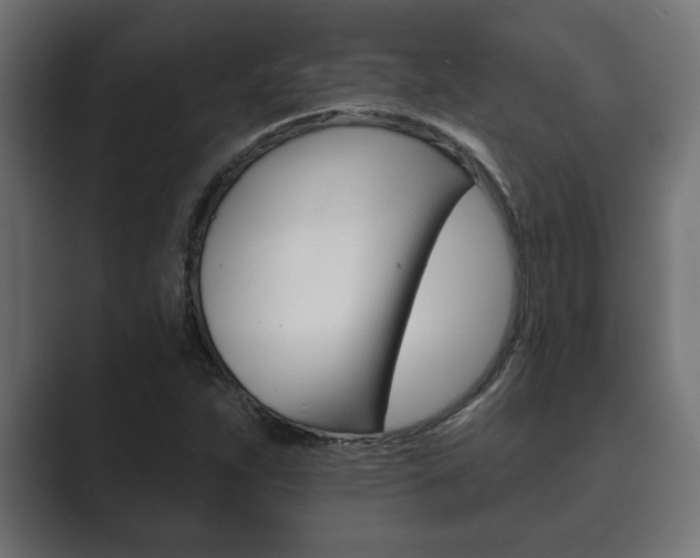 X0000089881263200706281043