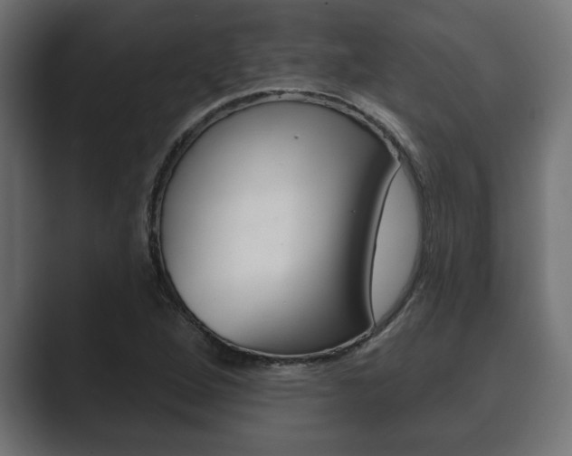 X0000089881264200706281043