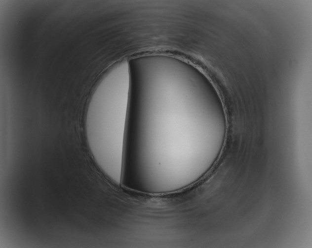 X0000089881265200706281043