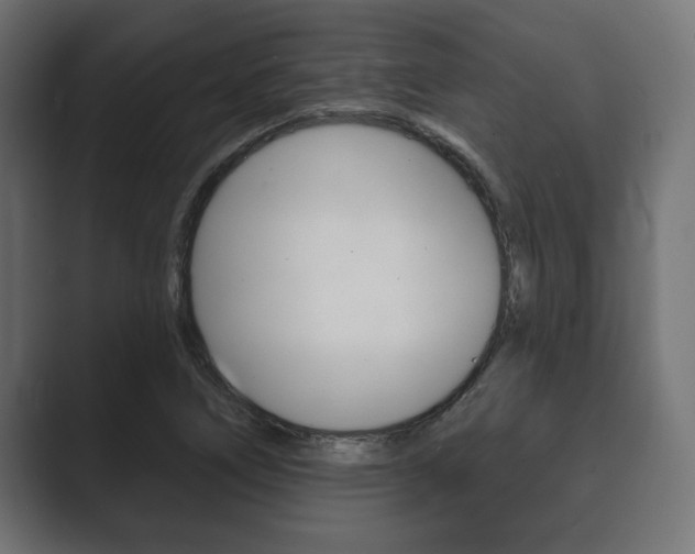 X0000089881266200706281043