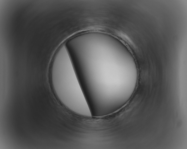 X0000089881268200706281043