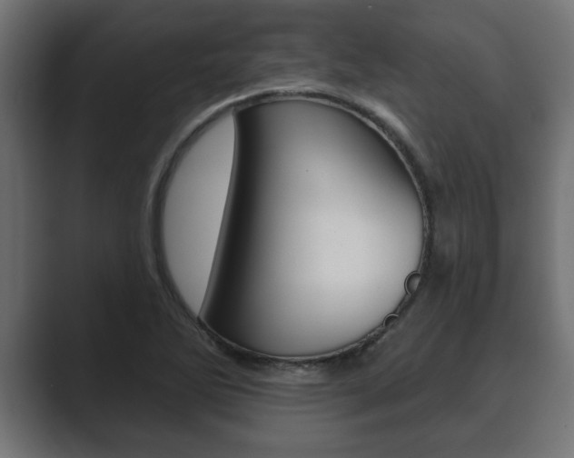 X0000089881270200706281043