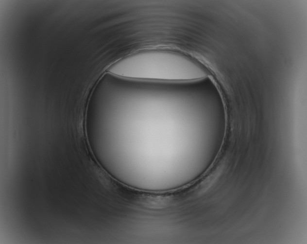 X0000089881273200706281043