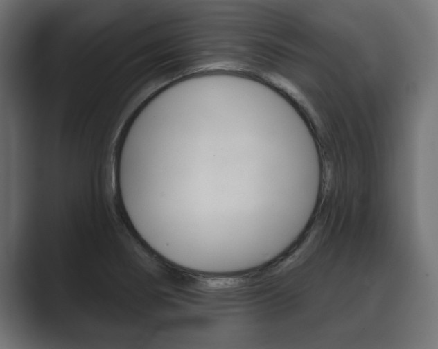 X0000089881274200706281043