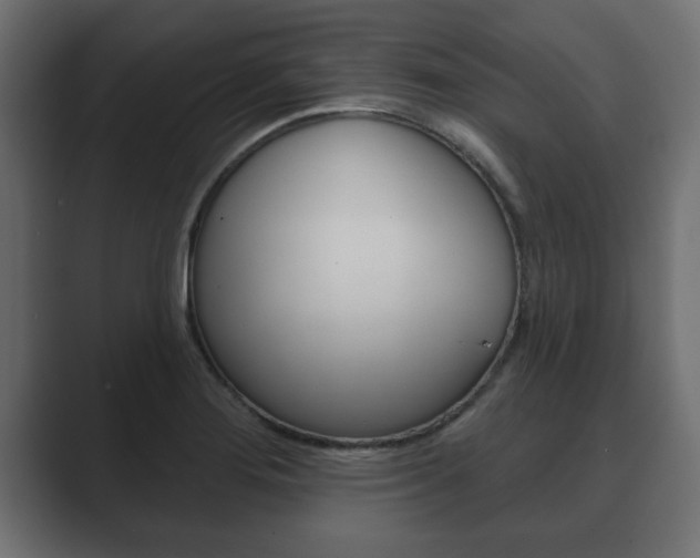 X0000089881276200706281043