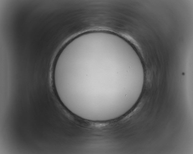X0000089881278200706281043