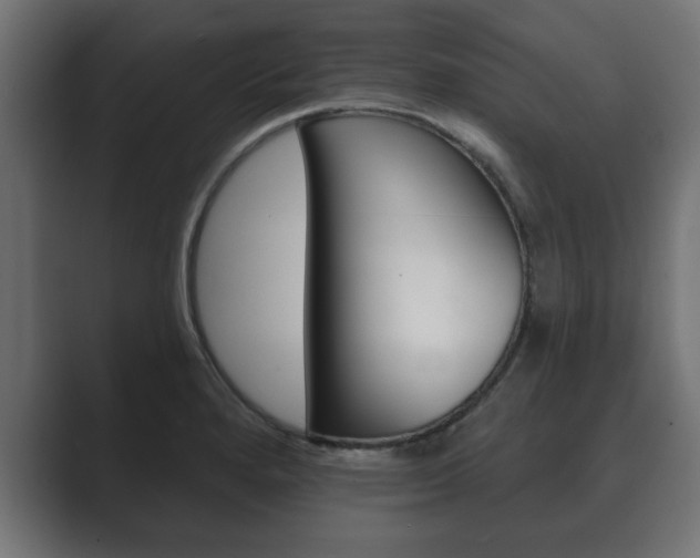 X0000089881280200706281043