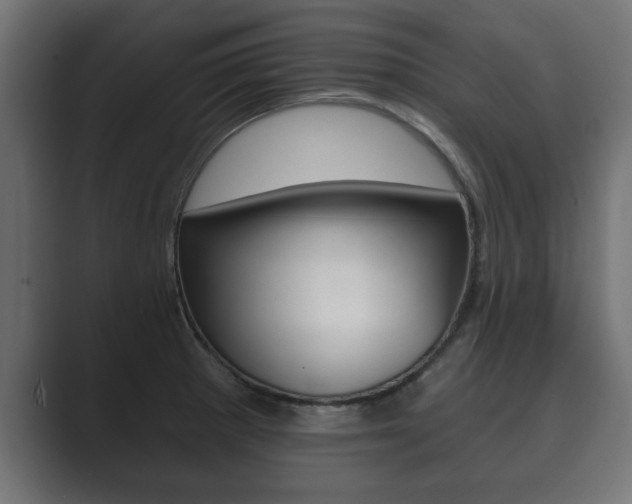 X0000089881281200706281043