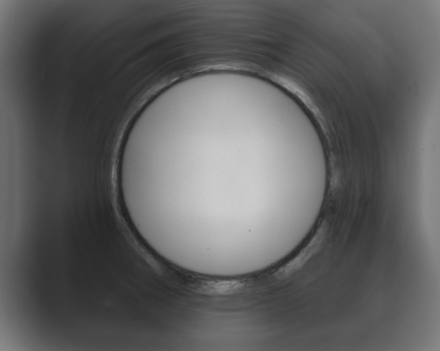X0000089881282200706281043