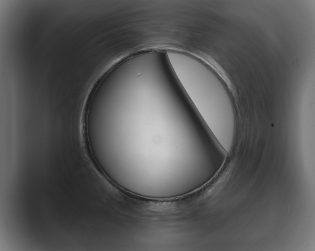 X0000089881285200706281042