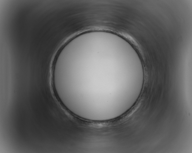 X0000089881286200706281042