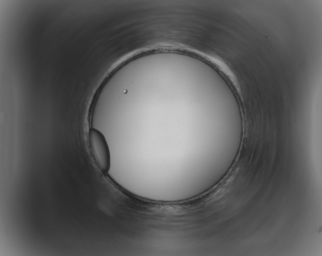 X0000089881287200706281042