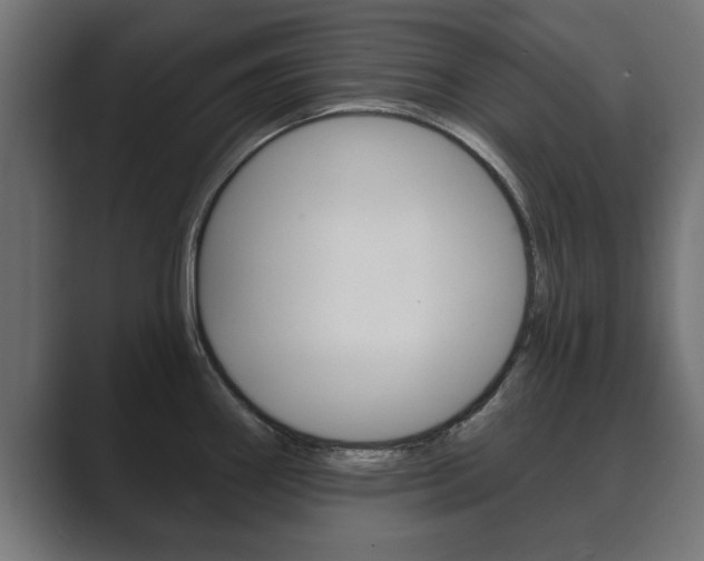 X0000089881290200706281042