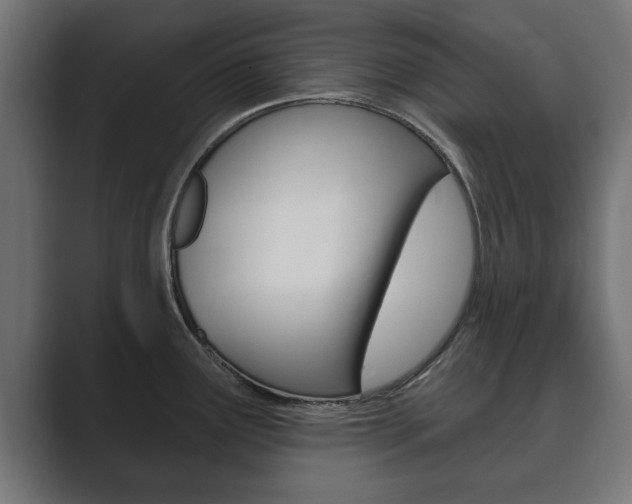 X0000089881291200706281042