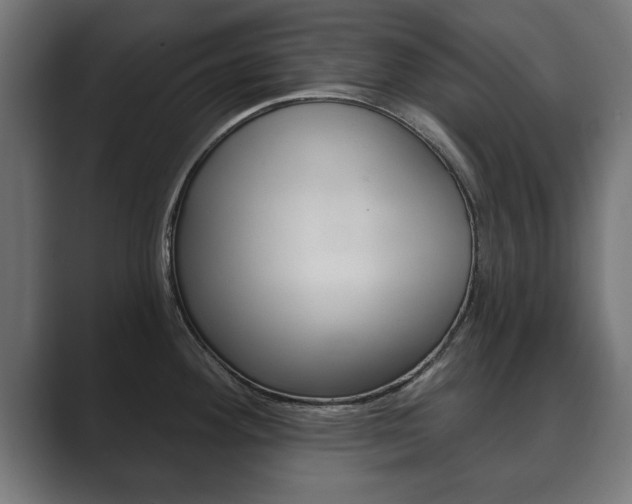 X0000089881292200706281042