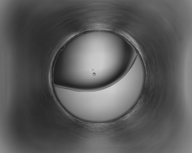 X0000089881293200706281042
