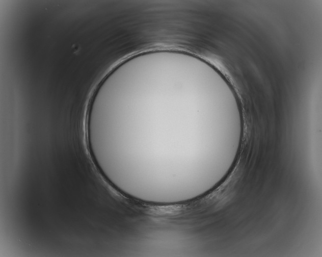 X0000089881294200706281042