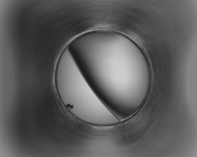 X0000089881296200706281042