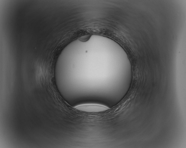 X0000089881297200706281042