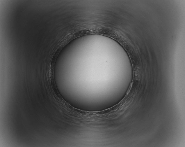 X0000089881298200706281042