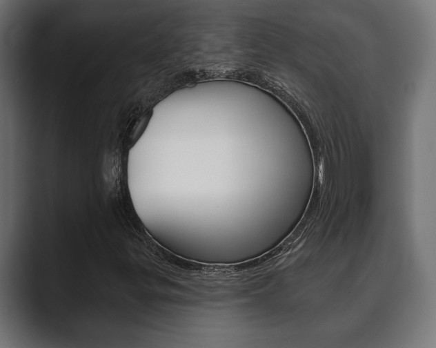 X0000089881299200706281042