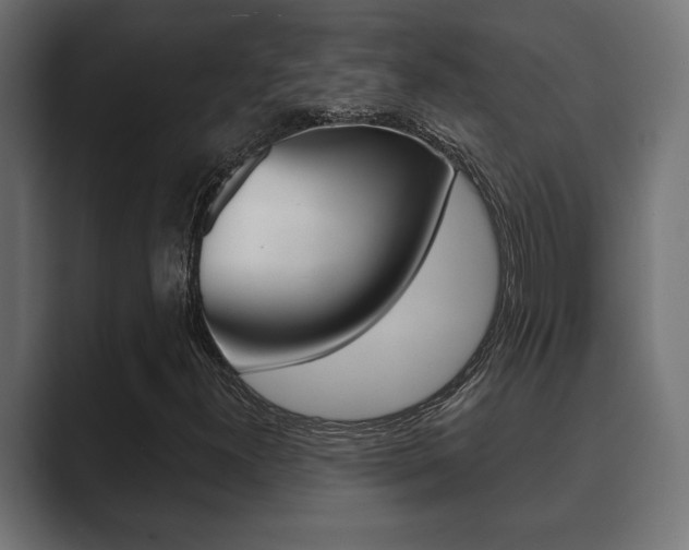 X0000089881300200706281042