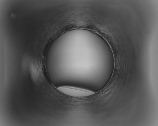 X0000089881301200706281042