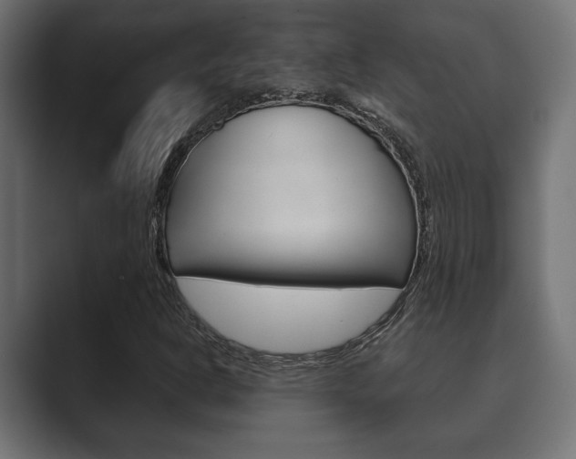 X0000089881302200706281042